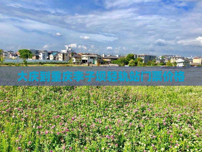 大庆到重庆李子坝轻轨站门票价格