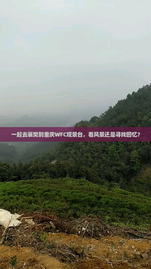 一起去襄樊到重庆WFC观景台，看风景还是寻找回忆？