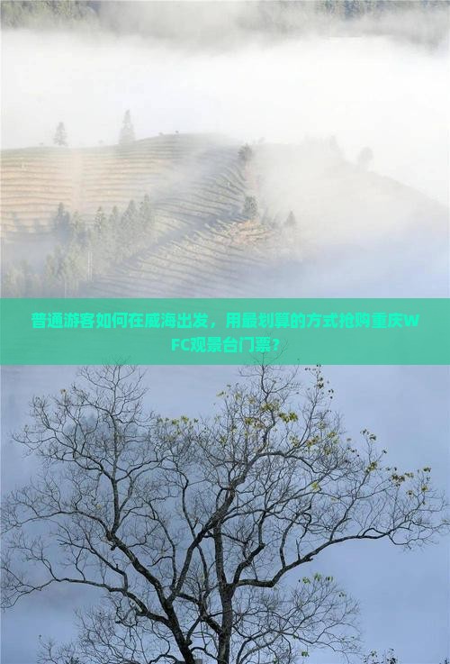 普通游客如何在威海出发，用最划算的方式抢购重庆WFC观景台门票？