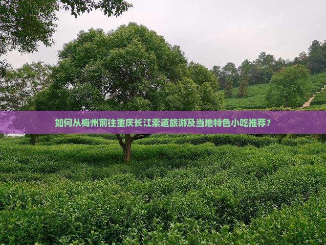 如何从梅州前往重庆长江索道旅游及当地特色小吃推荐？