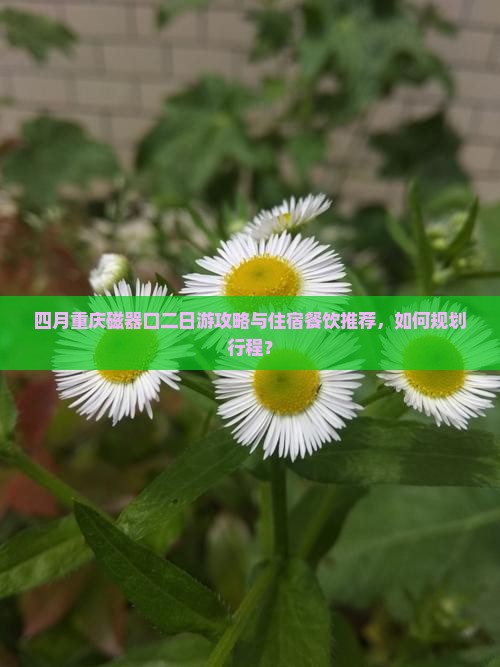 四月重庆磁器口二日游攻略与住宿餐饮推荐，如何规划行程？