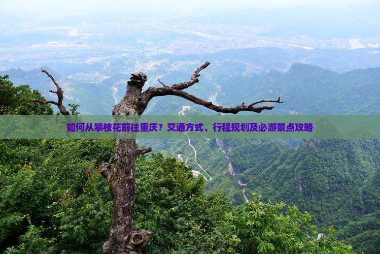 如何从攀枝花前往重庆？交通方式、行程规划及必游景点攻略