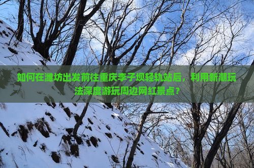 如何在潍坊出发前往重庆李子坝轻轨站后，利用新潮玩法深度游玩周边网红景点？