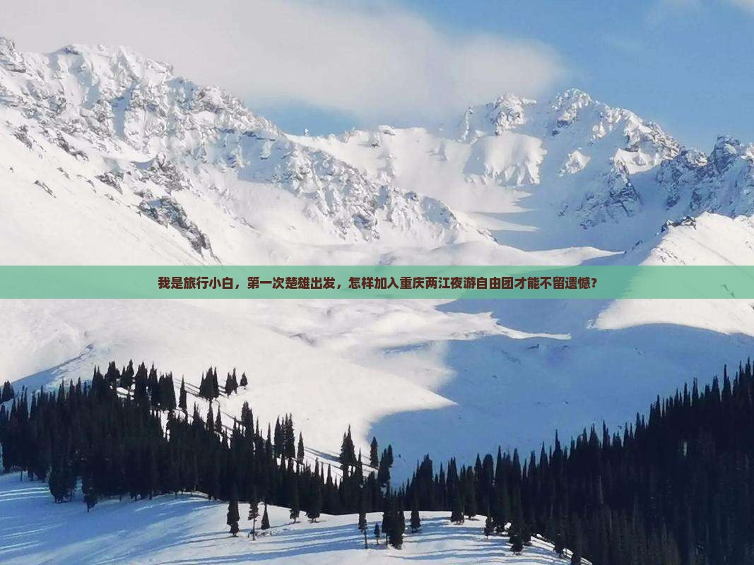 我是旅行小白，第一次楚雄出发，怎样加入重庆两江夜游自由团才能不留遗憾？