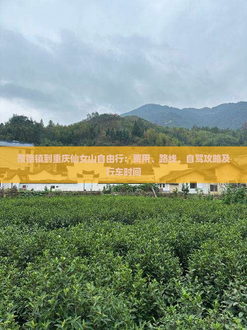景德镇到重庆仙女山自由行：费用、路线、自驾攻略及行车时间