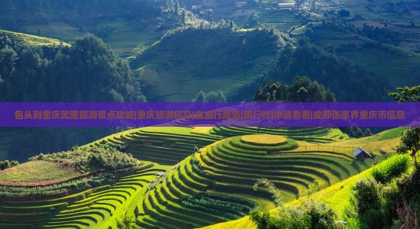 包头到重庆武隆旅游景点攻略|重庆旅游信息|自由行服务|旅行社|申请看看|成都张家界重庆市信息