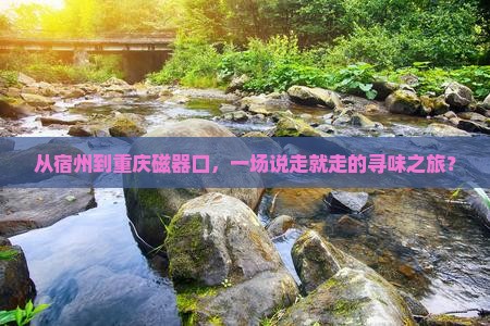 从宿州到重庆磁器口，一场说走就走的寻味之旅？