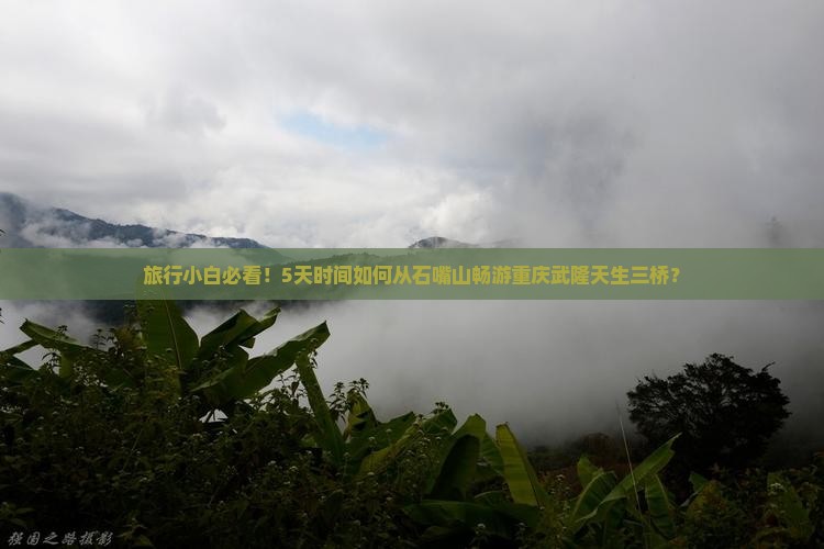 旅行小白必看！5天时间如何从石嘴山畅游重庆武隆天生三桥？