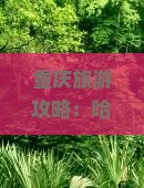 重庆旅游攻略：哈尔滨游客必看十大景点信息，重庆国际旅行社营业部详解李子坝轻轨路线及天坑地缝奇观