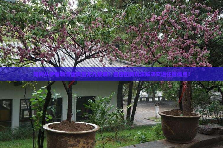 如何从伊春畅游重庆蚩尤九黎城？自由团新玩法解决交通住宿痛点！