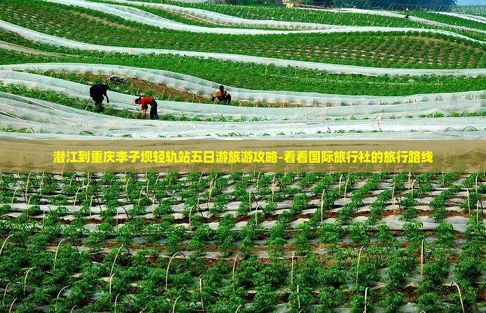 潜江到重庆李子坝轻轨站五日游旅游攻略-看看国际旅行社的旅行路线