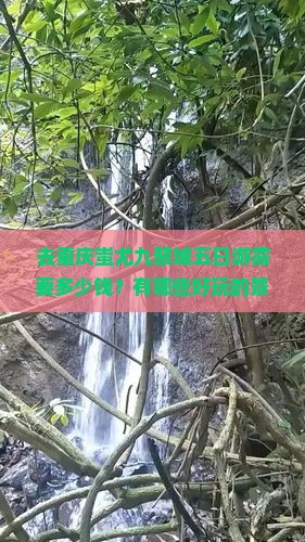 去重庆蚩尤九黎城五日游需要多少钱？有哪些好玩的景点？需要注意什么？