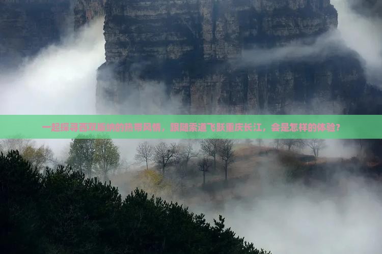 一起探寻西双版纳的热带风情，跟随索道飞跃重庆长江，会是怎样的体验？