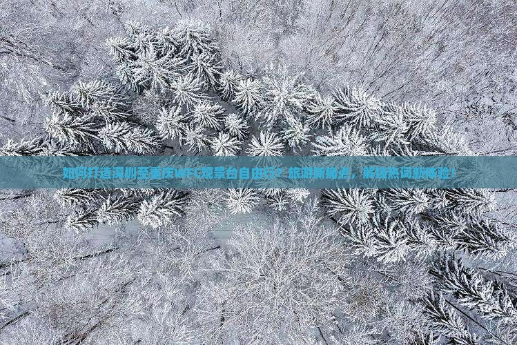 如何打造深圳至重庆WFC观景台自由行？旅游新痛点，解锁热词新体验！