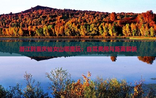 潜江到重庆仙女山哪里玩：自驾费用与距离解析