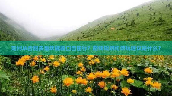 如何从合肥去重庆磁器口自由行？路线规划和游玩建议是什么？