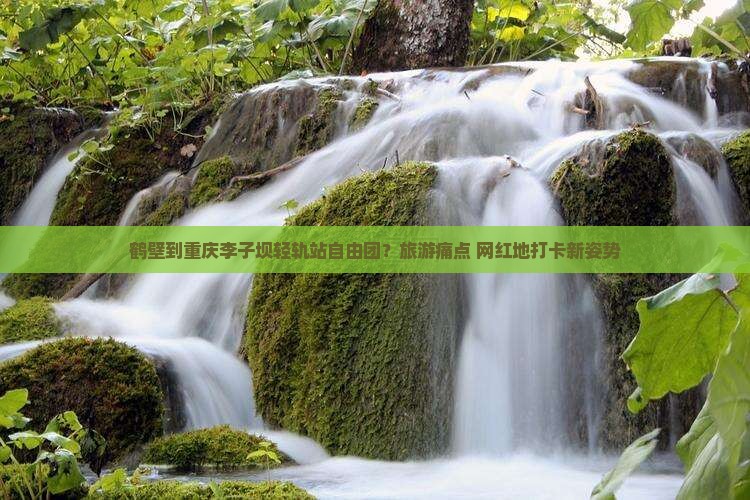 鹤壁到重庆李子坝轻轨站自由团？旅游痛点+网红地打卡新姿势
