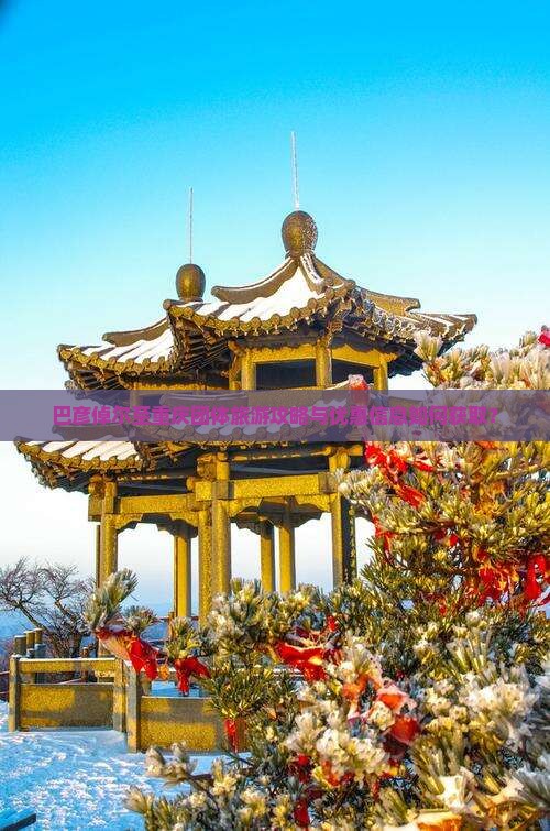 巴彦倬尔至重庆团体旅游攻略与优惠信息如何获取？