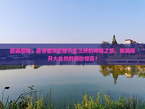 踏遍醴陵，追寻重庆武隆天生三桥的神秘之旅，我能揭开大自然的哪份惊喜？