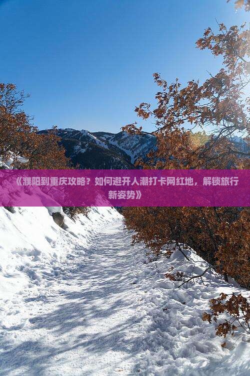 《濮阳到重庆攻略？如何避开人潮打卡网红地，解锁旅行新姿势》