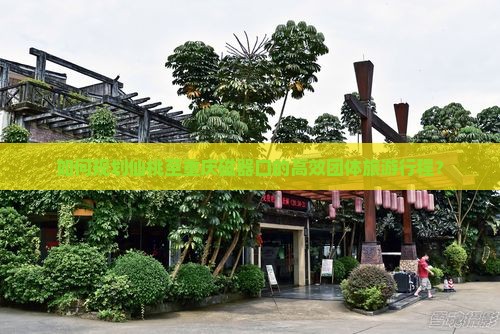 如何规划仙桃至重庆磁器口的高效团体旅游行程？