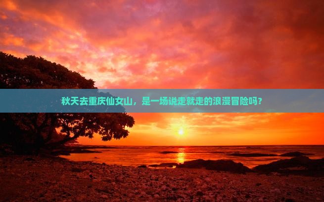 秋天去重庆仙女山，是一场说走就走的浪漫冒险吗？