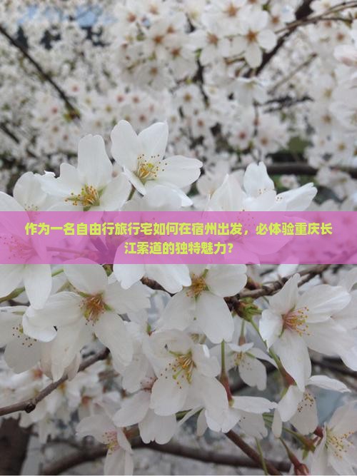 作为一名自由行旅行宅如何在宿州出发，必体验重庆长江索道的独特魅力？