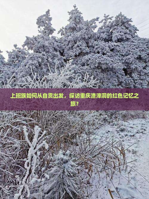 上班族如何从自贡出发，探访重庆渣滓洞的红色记忆之旅？