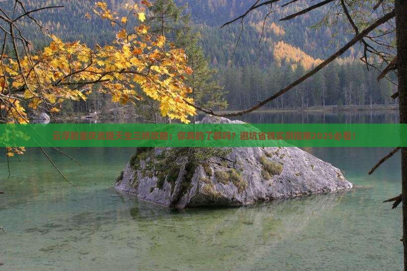 云浮到重庆武隆天生三桥攻略