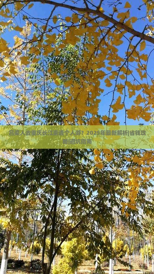 吕梁去重庆长江索道个人游 吕梁去重庆长江索道个人游