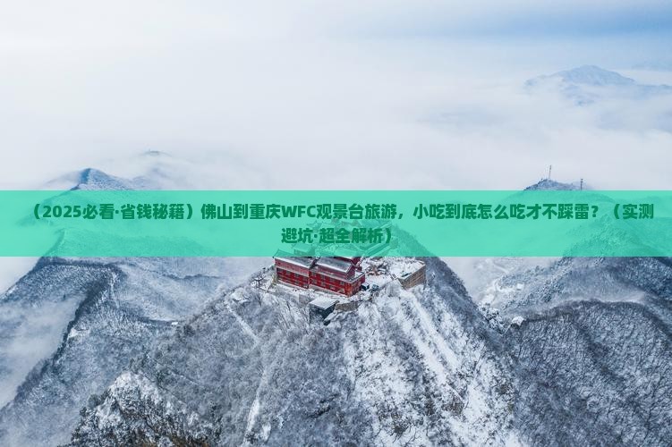 佛山到重庆wfc观景台旅游小吃