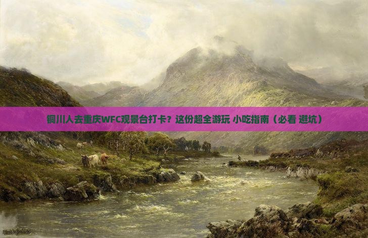 铜川去重庆wfc观景台旅游小吃