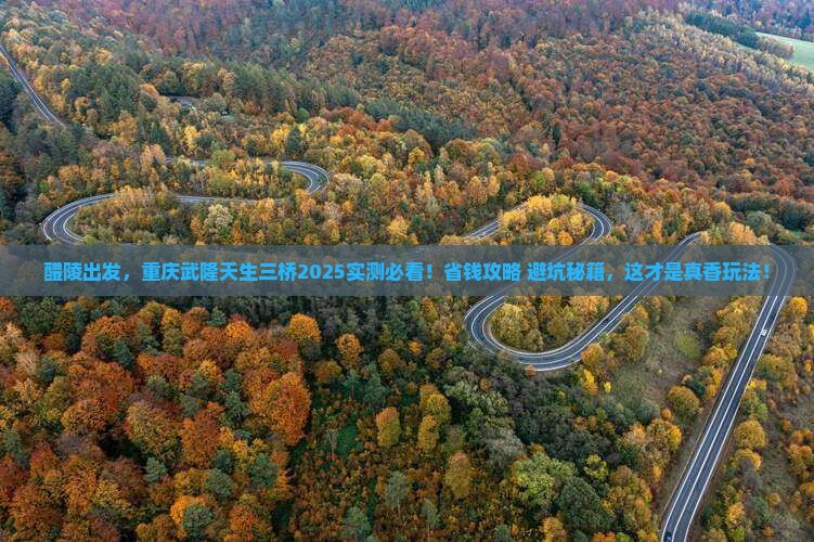 醴陵去重庆武隆天生三桥攻略