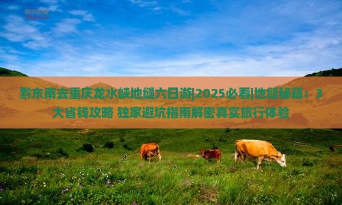 黔东南去重庆龙水峡地缝六日游