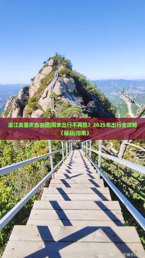 湛江去重庆自由团