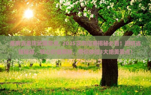 淮南去重庆武隆景点