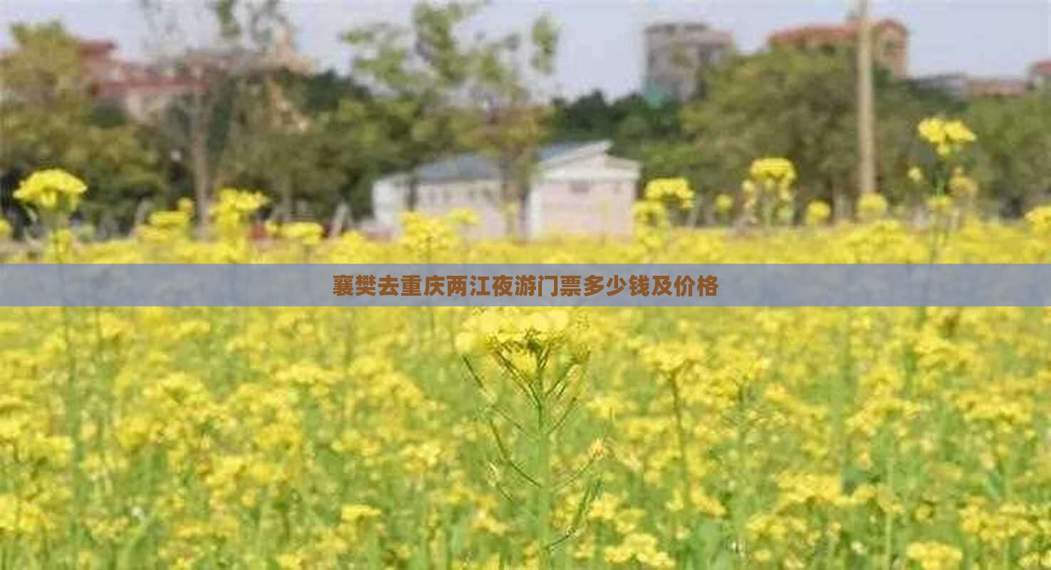 襄樊去重庆两江夜游门票