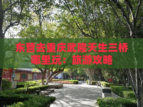 东营去重庆武隆天生三桥哪里玩