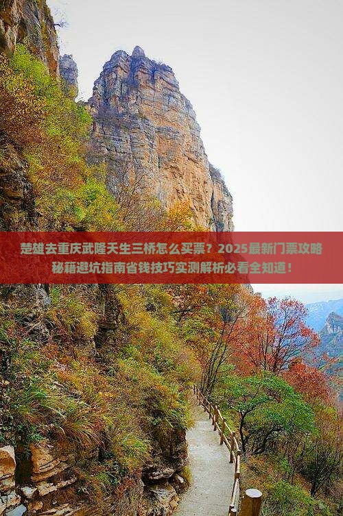 楚雄去重庆武隆天生三桥门票