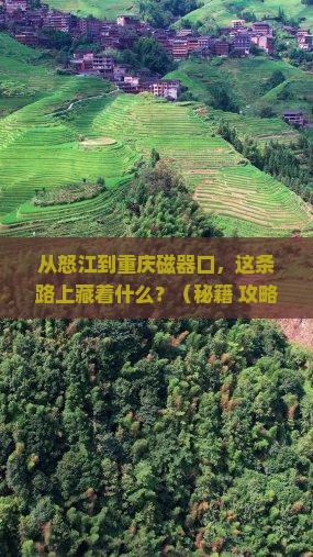 怒江到重庆磁器口自由行