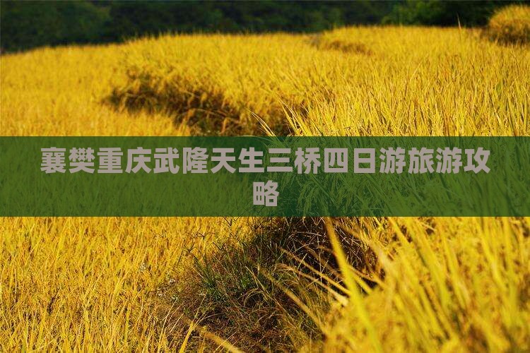 襄樊去重庆武隆天生三桥四日游