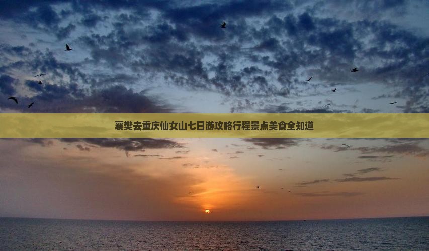 襄樊去重庆仙女山七日游