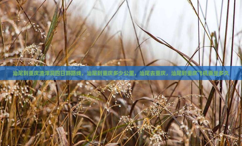 汕尾到重庆渣滓洞四日游