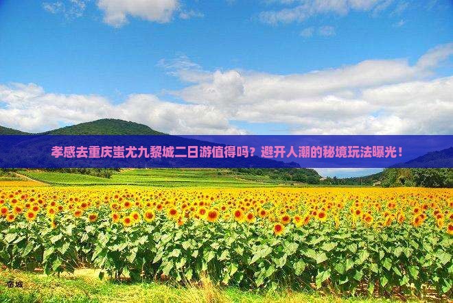 孝感去重庆蚩尤九黎城二日游