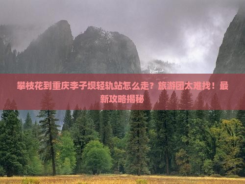 攀枝花到重庆李子坝轻轨站大型旅游团