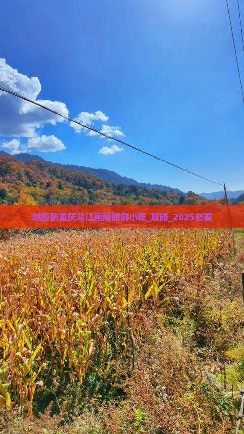 哈密到重庆乌江画廊旅游小吃
