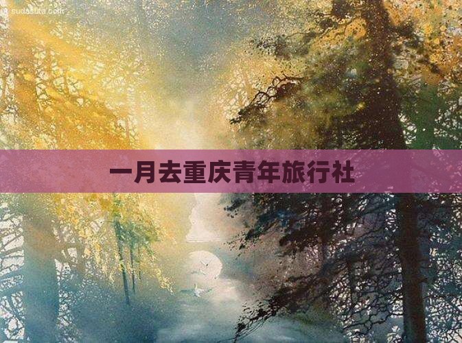 一月去重庆旅行社