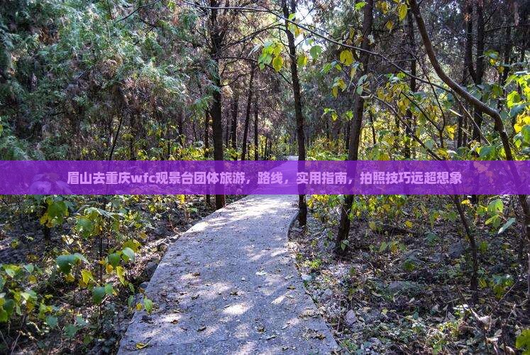 眉山去重庆wfc观景台团体旅游