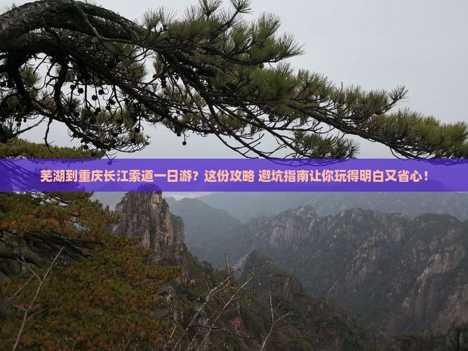 芜湖到重庆长江索道一日