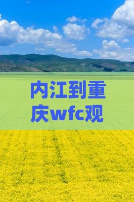内江到重庆wfc观景台三日游